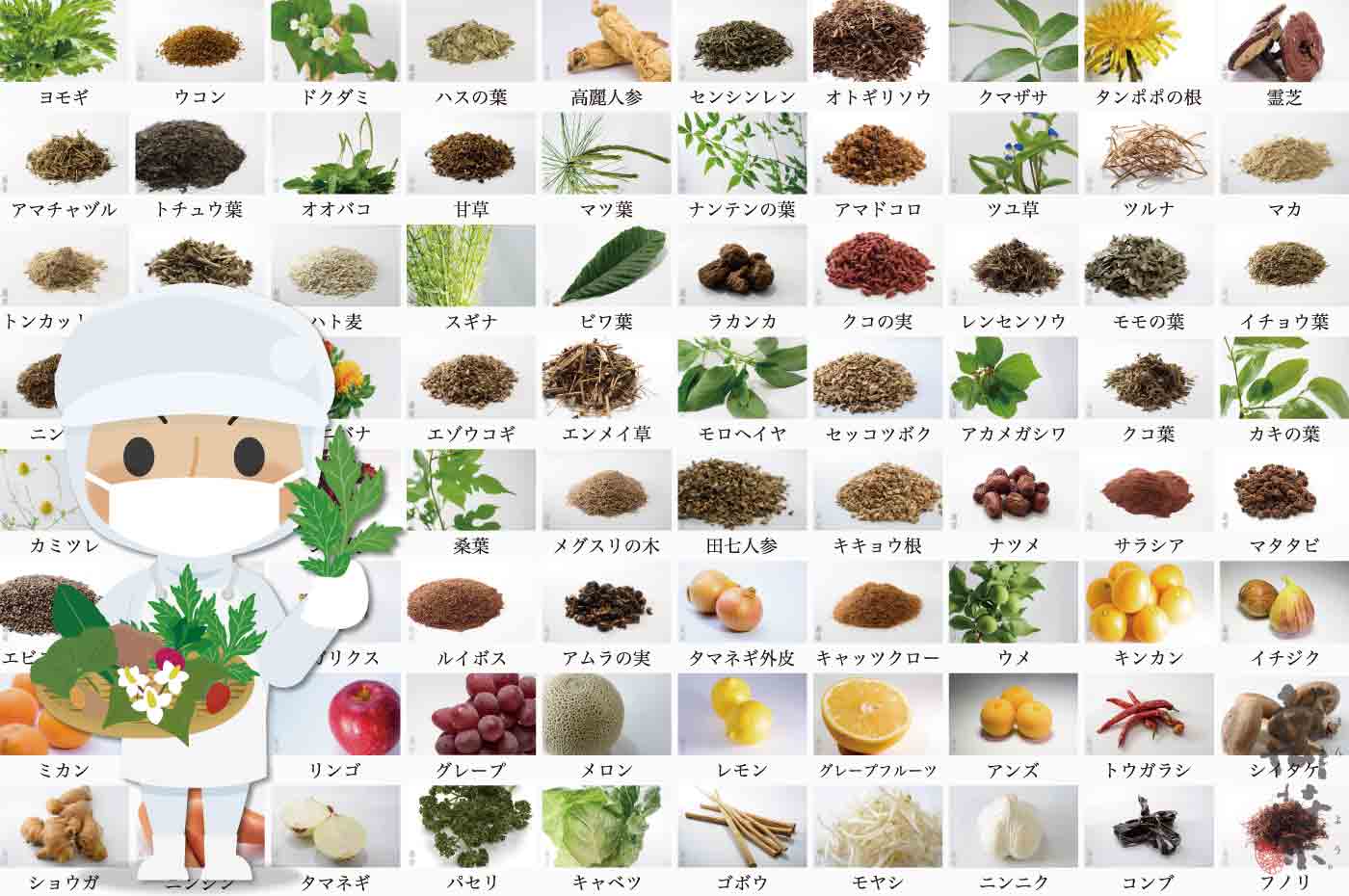 野草酵素雪国の原材料80種類