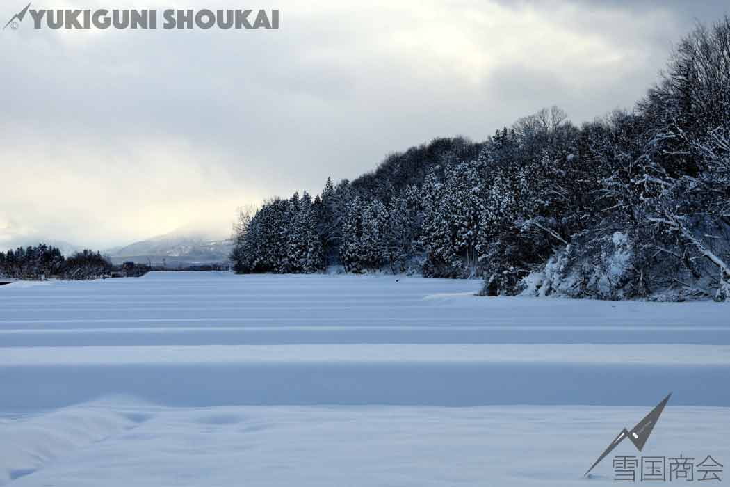 新潟県上越市の冬の景色